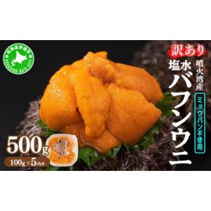 ふるさと納税 ウニ 北海道 伊達市 訳あり 北海道 噴火湾産 塩水 バフンウニ 100g 5パック 計500g 《アフター保証付き》うに ウニ 雲丹 海鮮 海の幸 魚介類 ウ…