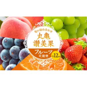 ふるさと納税 果物の詰合せ 香川県 丸亀市 フ...の詳細画像1