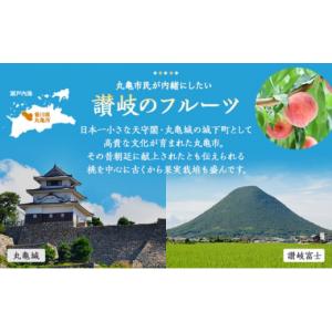 ふるさと納税 果物の詰合せ 香川県 丸亀市 フ...の詳細画像3