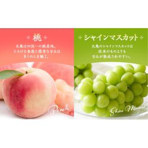 ふるさと納税 果物の詰合せ 香川県 丸亀市 フ...の詳細画像4