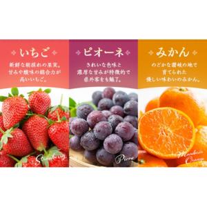 ふるさと納税 果物の詰合せ 香川県 丸亀市 フ...の詳細画像5