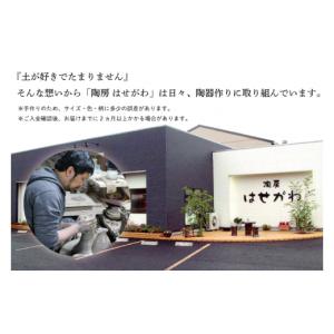 ふるさと納税 陶磁器・漆器・ガラス 栃木県 益...の詳細画像2