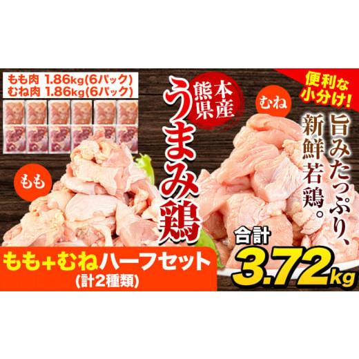ふるさと納税 熊本県 津奈木町 鶏肉 うまみ鶏 もも+むねハーフセット(計2種類) 合計3.72kg...