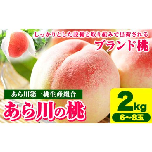 ふるさと納税 もも 和歌山県 紀の川市  2026年先行予約 あら川の桃約2kg(6-8玉) あら川...