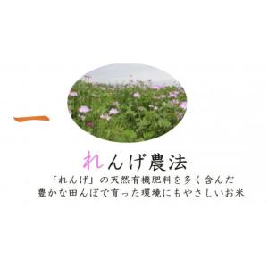 ふるさと納税 米 ヒノヒカリ 大阪府 寝屋川市...の詳細画像2