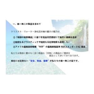 ふるさと納税 雑貨・日用品 愛知県 津島市 高...の詳細画像2