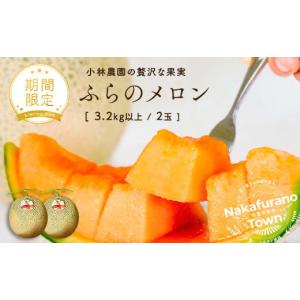 山形県飯豊町産 天然山菜 山うど塩蔵 1kg 数量限定 送料無料 山ウド