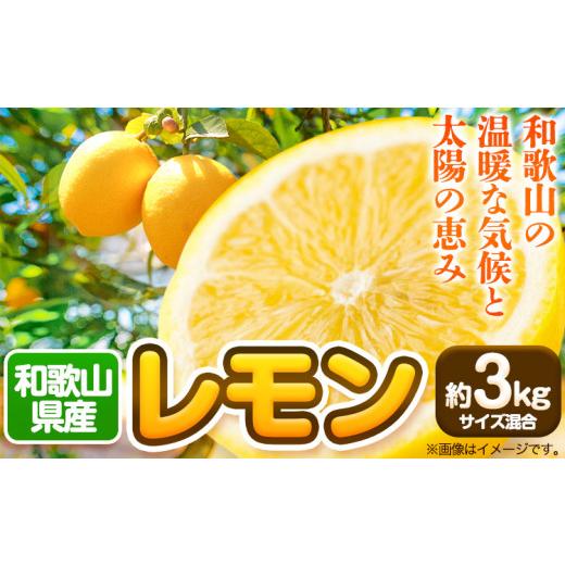 ふるさと納税 和歌山県 日高川町 和歌山産レモン約3kg（サイズ混合） 約3kg 日高川町厳選館(株...