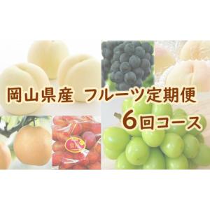 ふるさと納税 果物の詰合せ 岡山県 早島町 岡山県産　フルーツ定期便 6回コース