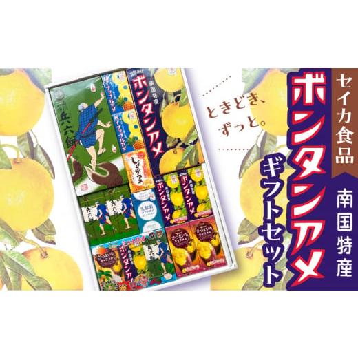 ふるさと納税 鹿児島県 鹿児島市 セイカ食品　南国特産ボンタンアメギフトセット　K194-001