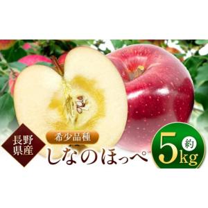 ふるさと納税 りんご 長野県 松本市 先行受付...の詳細画像1
