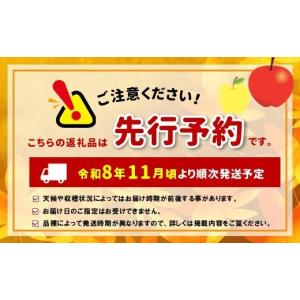 ふるさと納税 りんご 長野県 松本市 先行受付...の詳細画像2