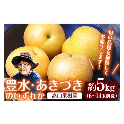 ふるさと納税 熊本県 荒尾市 【先行予約】旬の梨 あきづき 豊水 のいずれかをお届けします！ 約5k...