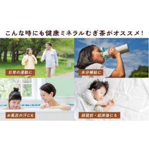 ふるさと納税 お茶類 和歌山県 海南市 伊藤園...の詳細画像4