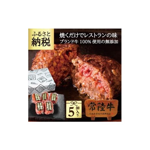 ふるさと納税 茨城県 水戸市 DU-6　ハンバーグ 肉 10個 セット ギフト 誕生日プレゼント 食...