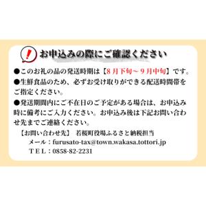 ふるさと納税 梨 鳥取県 若桜町 26先行予約...の詳細画像2