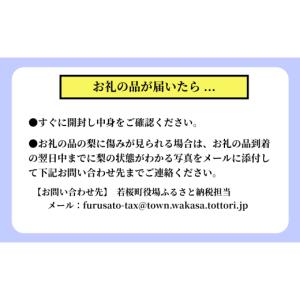 ふるさと納税 梨 鳥取県 若桜町 26先行予約...の詳細画像3