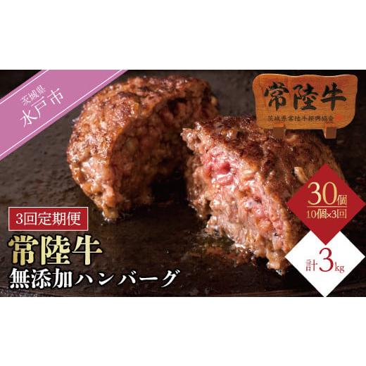 ふるさと納税 茨城県 水戸市 DU-97　【定期便3回】 ハンバーグ 10個 セット ギフト 肉 牛...