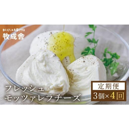 ふるさと納税 岐阜県 飛騨市 チーズ 定期便 4回 乳製品＜牧成舎＞チーズ フレッシュ モッツァレラ...