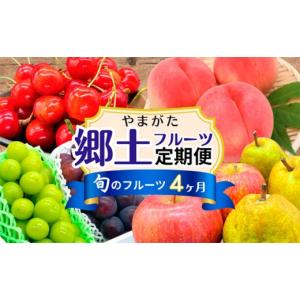 ふるさと納税 果物類 さくらんぼ 山形県 山形市  定期便4回 やまがた 郷土フルーツ定期便 佐藤錦・やわらかめ白桃・シャインマスカットとピオーネ・りんごとラ…