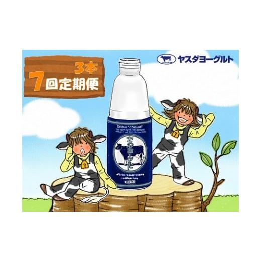 ふるさと納税 新潟県 阿賀野市 【7ヶ月定期便】ヤスダヨーグルト 800g×3本×7回 大ボトル 無...