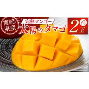 ふるさと納税 宮崎県 宮崎市 宮崎特産品　宮崎県産完熟マンゴー　太陽のタマゴ　2L×2個_M275-004｜ふるさとチョイス