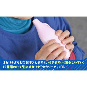 ふるさと納税 楽器 岐阜県 瑞浪市 美濃焼 オ...の詳細画像2
