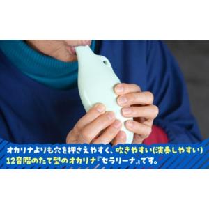 ふるさと納税 楽器 岐阜県 瑞浪市 美濃焼 オ...の詳細画像2
