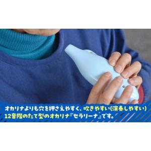 ふるさと納税 楽器 岐阜県 瑞浪市 美濃焼 オ...の詳細画像2