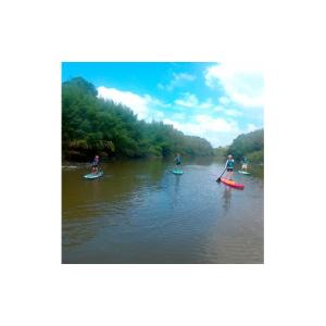 ふるさと納税 体験チケット 千葉県 いすみ市 ...の詳細画像4