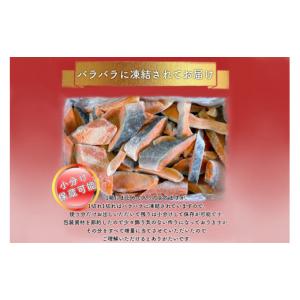 ふるさと納税 魚貝類 鮭 千葉県 いすみ市 訳...の詳細画像2