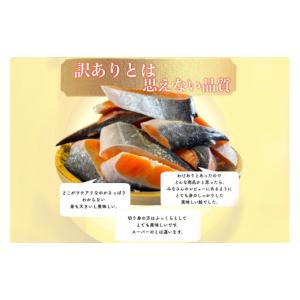 ふるさと納税 魚貝類 鮭 千葉県 いすみ市 訳...の詳細画像3