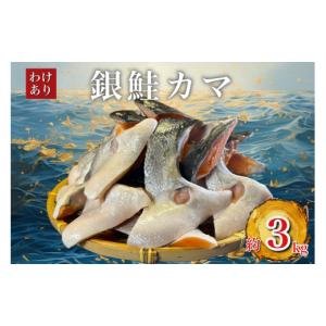 ふるさと納税 魚貝類 鮭 千葉県 いすみ市 訳...の詳細画像1