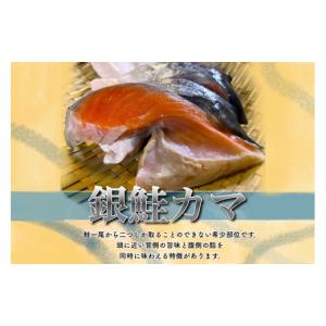ふるさと納税 魚貝類 鮭 千葉県 いすみ市 訳...の詳細画像3