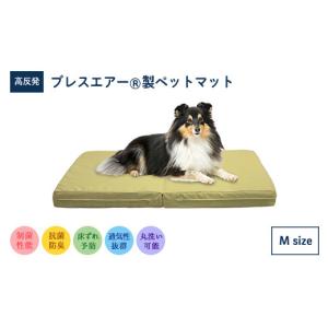 ふるさと納税 雑貨・日用品 滋賀県 東近江市 ...の詳細画像1