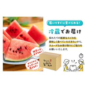ふるさと納税 スイカ 秋田県 横手市 小玉すい...の詳細画像4