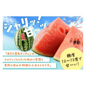 ふるさと納税 スイカ 秋田県 横手市 小玉すい...の詳細画像5