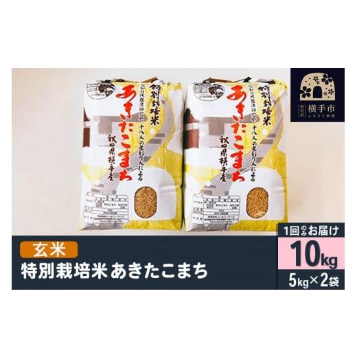 ふるさと納税 秋田県 横手市 【玄米】令和5年産 特別栽培米あきたこまち 10kg(5kg×2袋)