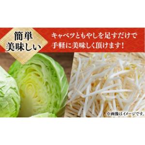 ふるさと納税 麺類 長崎県 小値賀町 12回定...の詳細画像4