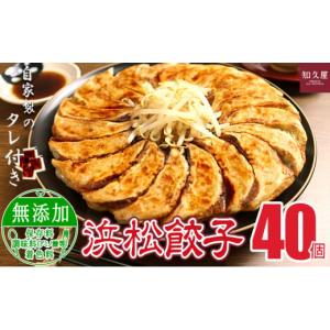 ふるさと納税 静岡県 浜松市 浜松 餃子 食べきりセット 計40個 20個入×2袋 タレ8袋 知久屋...