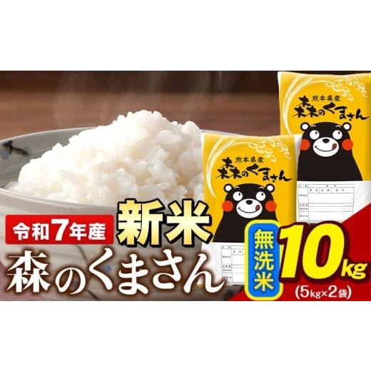 ふるさと納税 無洗米 熊本県 荒尾市 令和7年産 新米 無洗米 森のくまさん 10kg 5kg × ...