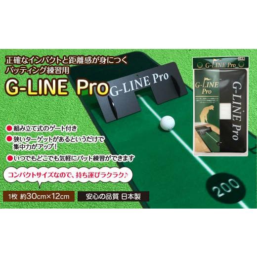 ふるさと納税 愛媛県 西条市 ゴルフ パッティング練習用 「G-LINE Pro」