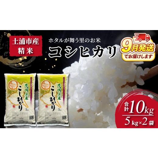ふるさと納税 米 コシヒカリ 茨城県 土浦市 令和8年産米 精米5kg×2袋、計10kg　土浦市産コ...
