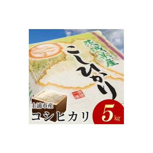 ふるさと納税 茨城県 土浦市 令和5年産米 土浦市産 コシヒカリ 精米5kg ｜ 茨城県土浦市のお米...