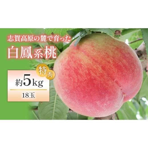 ふるさと納税 もも 長野県 山ノ内町  2026年発送 志賀高原の麓で育った 桃（白鳳系）特秀18玉...