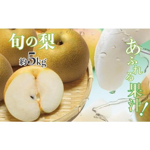 ふるさと納税 熊本県 玉名市 厳選 旬の 梨 約 5kg | フルーツ 果物 くだもの なし ナシ ...
