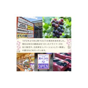 ふるさと納税 果物類 ぶどう 大分県 宇佐市 ...の詳細画像3