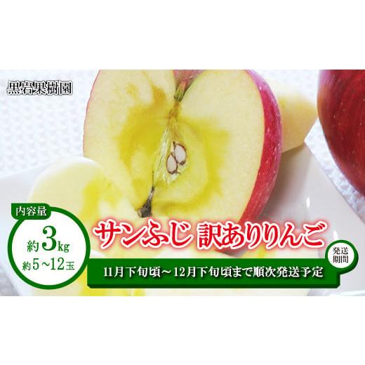 ふるさと納税 長野県 須坂市 [No.5657-3616]サンふじ 訳ありりんご 約3kg（約5〜1...