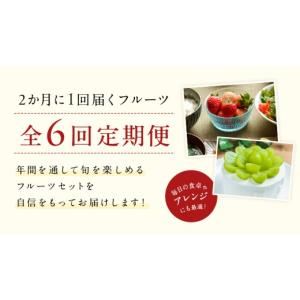 ふるさと納税 果物の詰合せ 茨城県 つくばみら...の詳細画像4