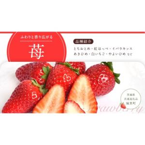 ふるさと納税 果物の詰合せ 茨城県 つくばみら...の詳細画像5
